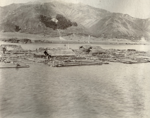 Timber rafts in river