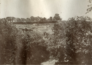 Field and houses