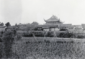 Temple and field