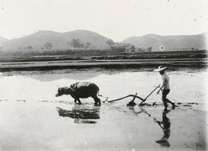 Ploughing a field