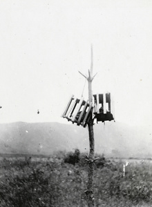 Exposure of decapitated heads of robbers