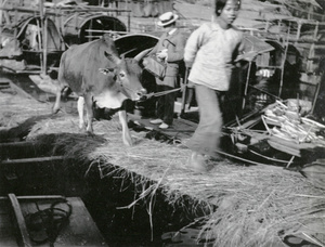 Reverend James Parker of the Church Missionary Society returning home after a visitation