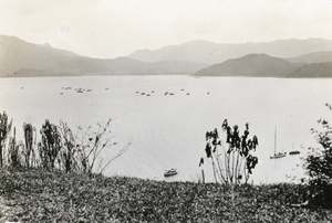 View of a harbour