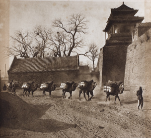 Camel train by a city gate, Beijing