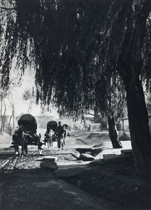 Peking carts on a road to Peking