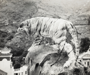 Tiger, Aw Boon Haw Garden, Hong Kong