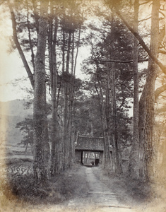 Avenue at Tiantong Temple (天童寺), Ningbo