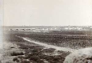 Royal Horse Artillery camp at Qinhuangdao