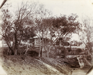 Garden at 'Hillside', Chefoo