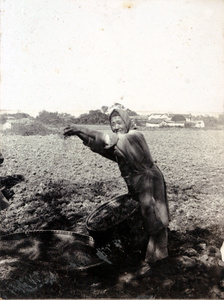 A woman winnowing wheat, near Shanghai