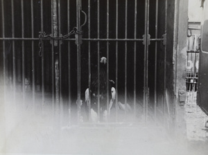 An eagle in a cage, Hagenbeck's Circus, Shanghai