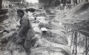 A woman on a barge with bundles of rice straw