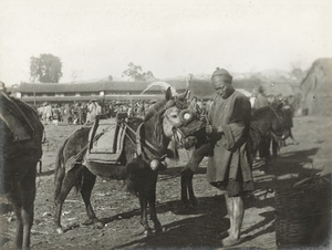 Muleteer with festooned mule at a market, Yunnan Province