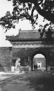 An old Cypress tree by the South Gate, Zhongshan Park (中山公园 / 中山公園), Beijing