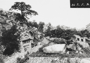 A pine tree, an archway and buildings, Mount Tai 泰山, Shandong