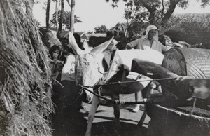 A donkey milling grain at a farm