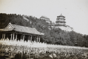 Summer Palace (頤和園), Beijing (北京)