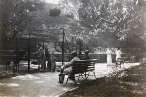 Feeding an animal, Botanical Gardens, Hong Kong