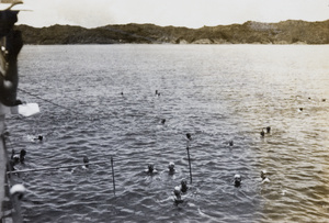 Royal Navy sailors swimming near their ship