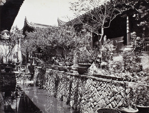 Monks in temple garden at Great Temple Hill, Fuzhou
