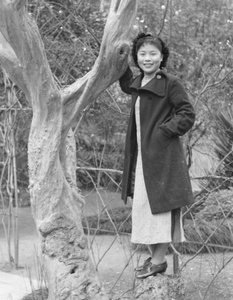 Liu Shengyi, Northern Hot Springs Park