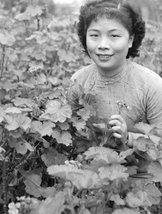 Liu Shengyi posed with geraniums, Northern Hot Springs Park