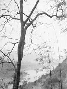 Kia-ling River and bamboo, near Chungking