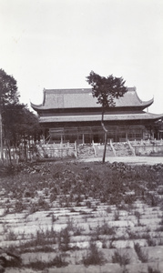 Chaotian Palace (朝天宫), Nanjing, with weeds