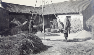Threshing, winnowing and cleaning rice at a farm