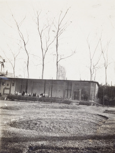 Chickens in the poultry house, 727 Avenue Haig, Shanghai