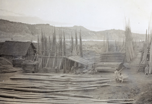 A timber yard beside Yangtze River, Luzhou