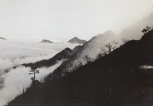 An early morning view from 'Cow's Head Mountain'