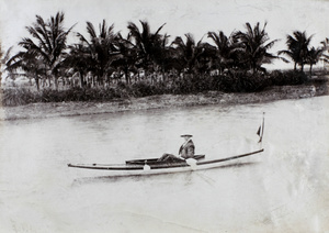 Rowing by palm trees at Hoihow