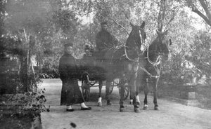 The Tientsin Commissioner's carriage