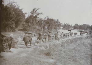 People and mules transporting goods on foot