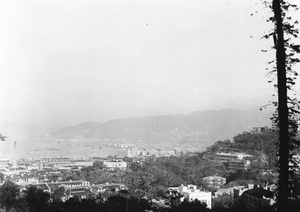 A view from the Botanical Gardens, Hong Kong