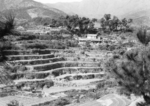 Terraced agricultural land, Hong Kong