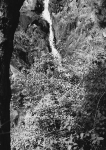 Waterfall pouring down a ravine, Hong Kong