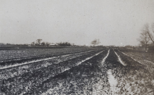 Snow on fields near Tongshan Road, Hongkew, Shanghai