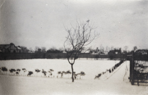 Snow on fields near Tongshan Road, Hongkew, Shanghai