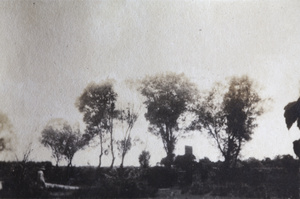 Trees and a garden, Tongshan Road, Hongkou, Shanghai