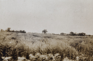 Fields near Tongshan Road, Hongkou, Shanghai