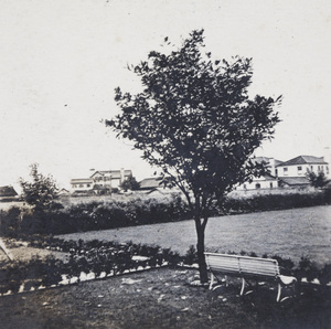 Neighbouring houses seen across the garden of 35 Tongshan Road, Hongkou, Shanghai