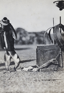 Captive monkey wearing a tiny jacket and hat