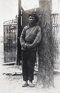 Man leaning against a tree, Tongshan R275oad, Hongkou, Shanghai