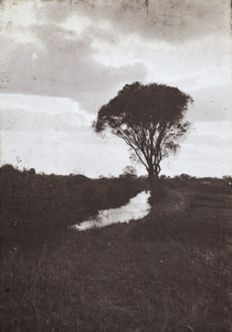 Trees silhouetted by storm clouds above a ditch running with rain water, Hongkou, Shanghai