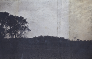 Trees silhouetted by clouds beside a field, Hongkou, Shanghai