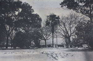 Snow in the Public Garden, Shanghai