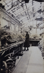 Young woman in a glasshouse, Shanghai