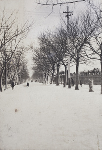 Dick, Fred and Maggie Hutchinson, throwing snowballs with Nora, Tongshan Road, Hongkou, Shanghai, February 1919